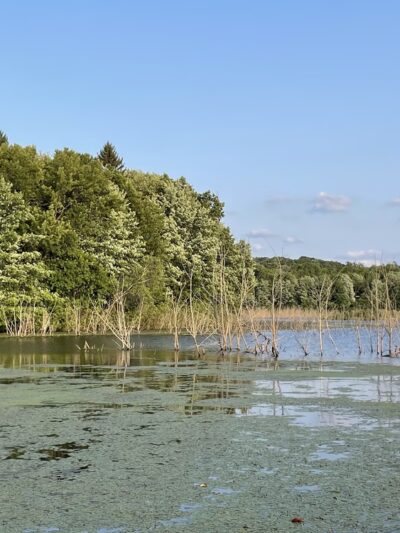 Glade Run Lake Park - Valencia, PA