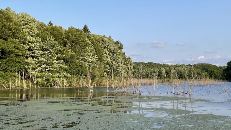 Glade Run Lake Park - Valencia, PA