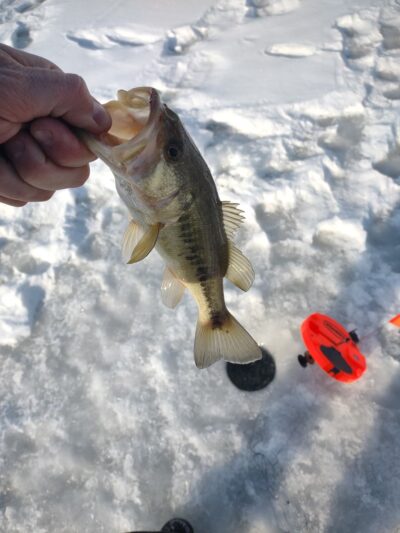 Glade Run Lake Park - Valencia, PA