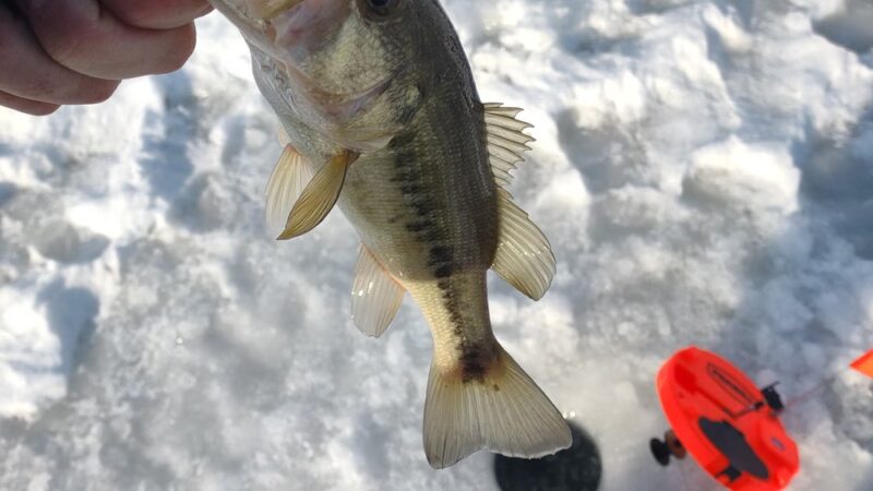 Glade Run Lake Park - Valencia, PA