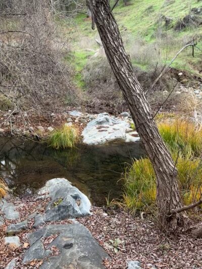 Natural Bridges Trailhead - Vallecito, CA