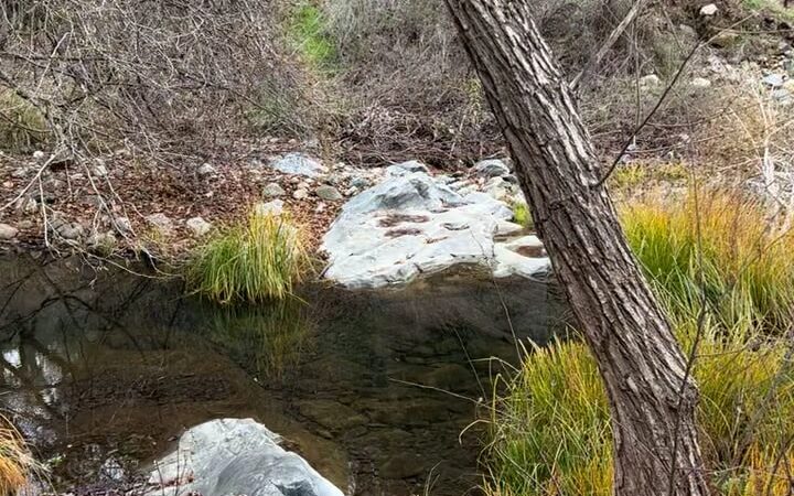 Natural Bridges Trailhead - Vallecito, CA