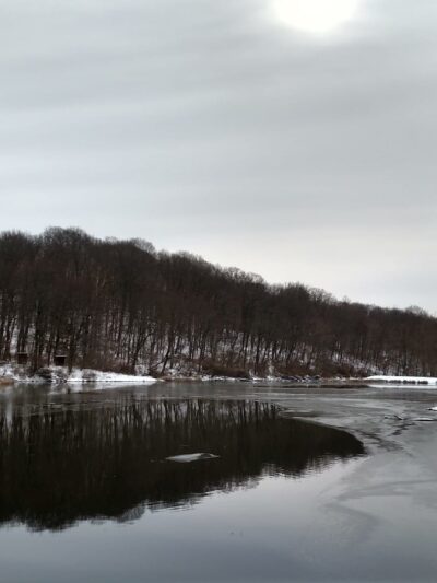 Bear Rock Lakes Wildlife Management Area - Valley Grove, WV