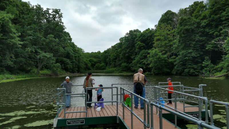 Bear Rock Lakes Wildlife Management Area - Valley Grove, WV