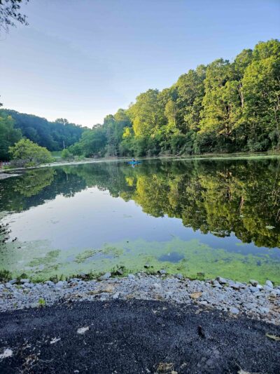 Bear Rock Lakes Wildlife Management Area - Valley Grove, WV