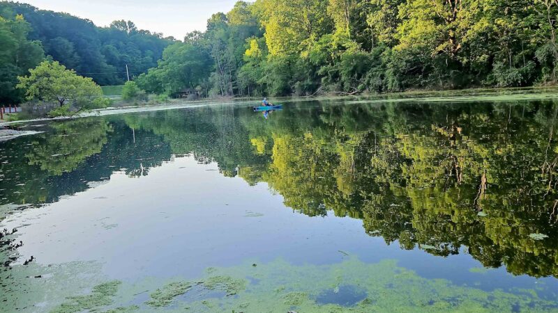 Bear Rock Lakes Wildlife Management Area - Valley Grove, WV