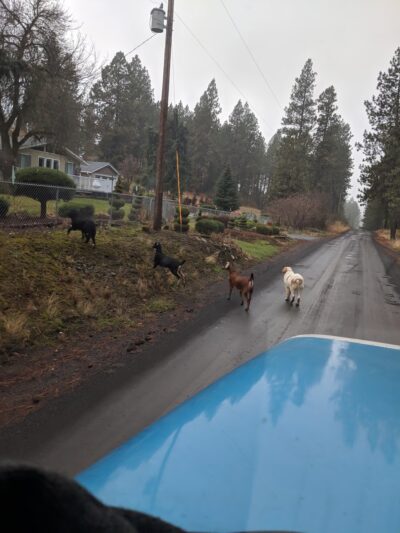 Valleyford County Park - Valleyford, WA