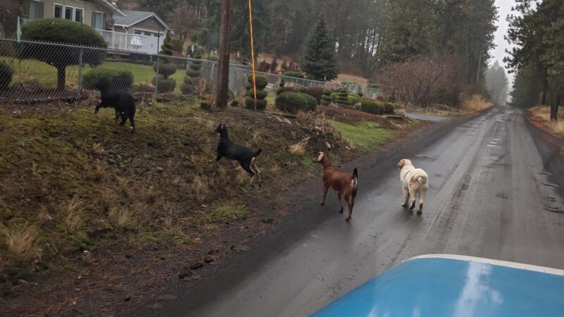 Valleyford County Park - Valleyford, WA