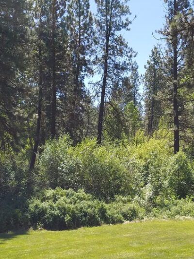 Valleyford County Park - Valleyford, WA