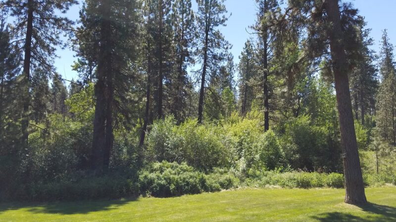 Valleyford County Park - Valleyford, WA