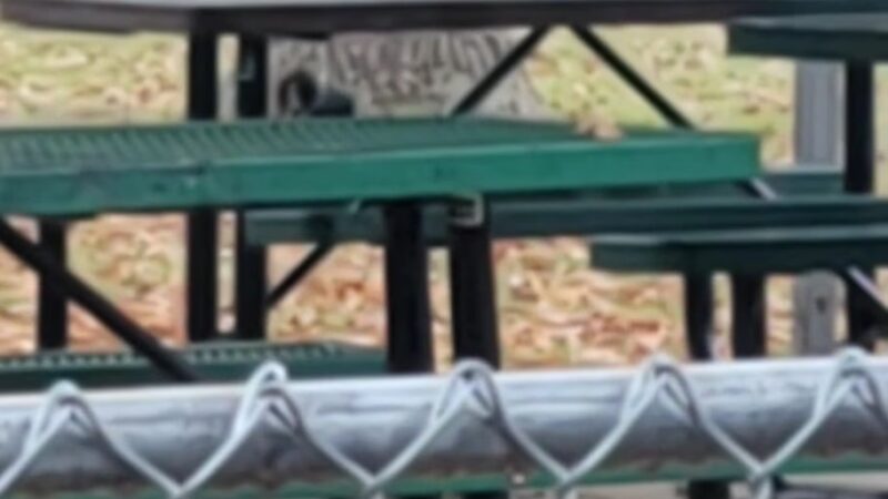 Valliant City Park - Valliant, OK