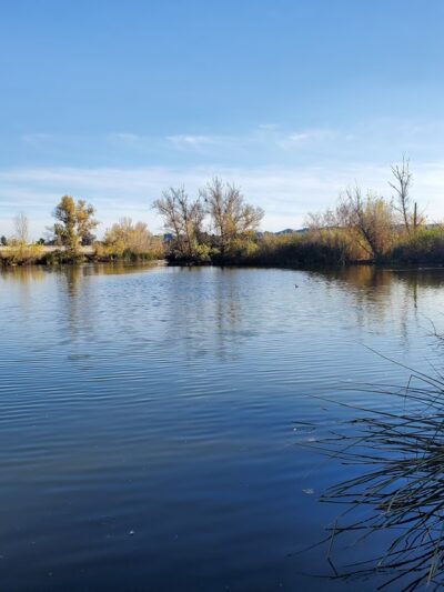 Sepulveda Basin Wildlife Reserve - Van Nuys, CA