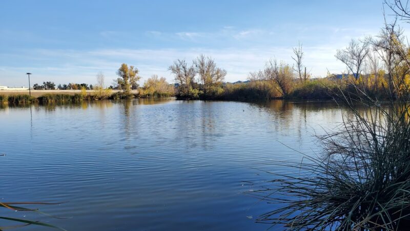 Sepulveda Basin Wildlife Reserve - Van Nuys, CA