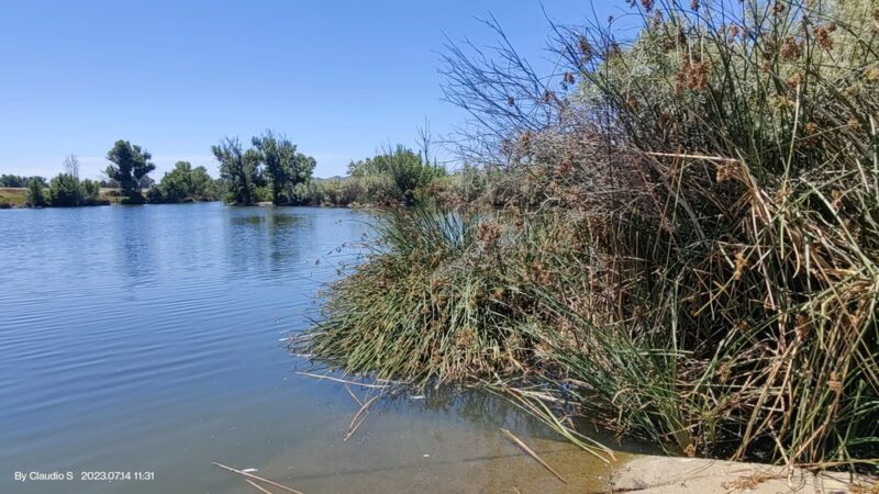 Sepulveda Basin Wildlife Reserve - Van Nuys, CA