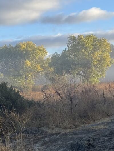 Sepulveda Basin Wildlife Reserve - Van Nuys, CA