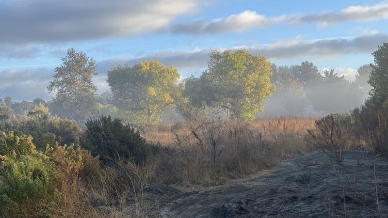 Sepulveda Basin Wildlife Reserve - Van Nuys, CA