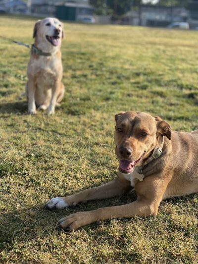 Susie's Park - Van Nuys, CA