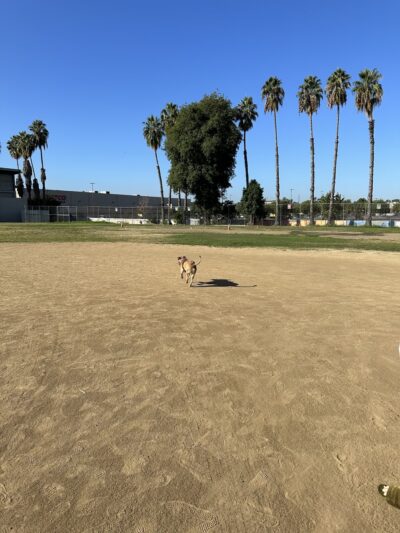 Susie's Park - Van Nuys, CA