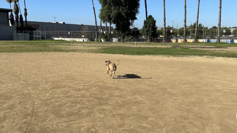 Susie's Park - Van Nuys, CA