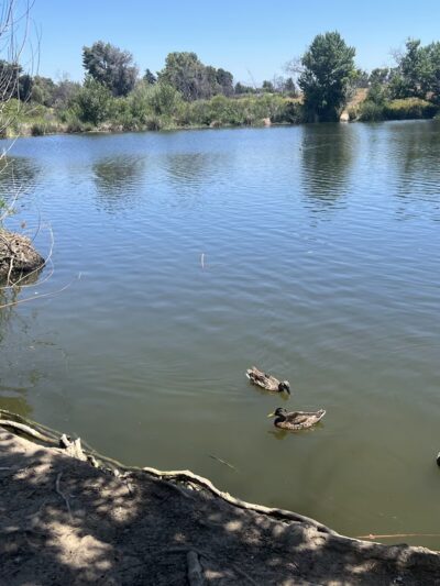 Woodley Park - Van Nuys, CA