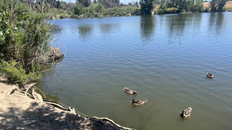 Woodley Park - Van Nuys, CA