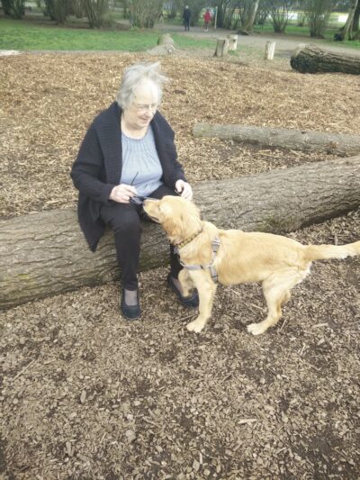Dakota Dog Park - Vancouver, WA
