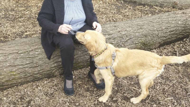Dakota Dog Park - Vancouver, WA