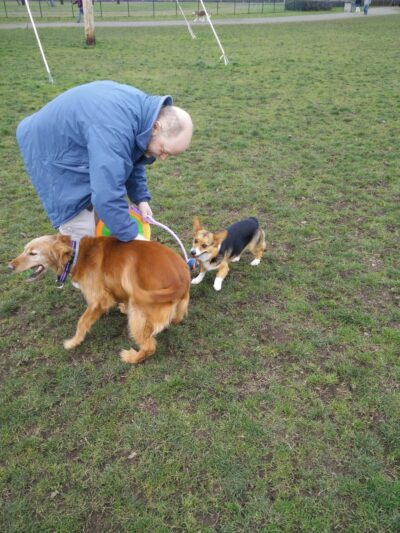 Dakota Dog Park - Vancouver, WA