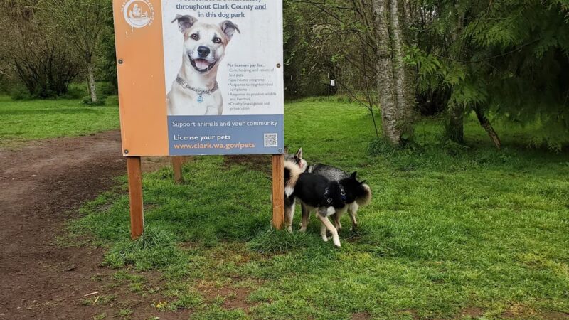Kane Memorial Dog Park - Vancouver, WA