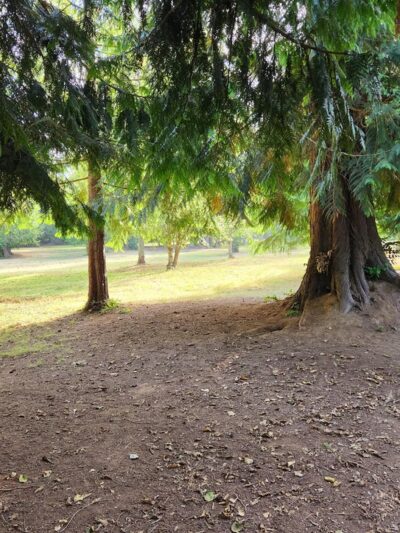 Kane Memorial Dog Park - Vancouver, WA