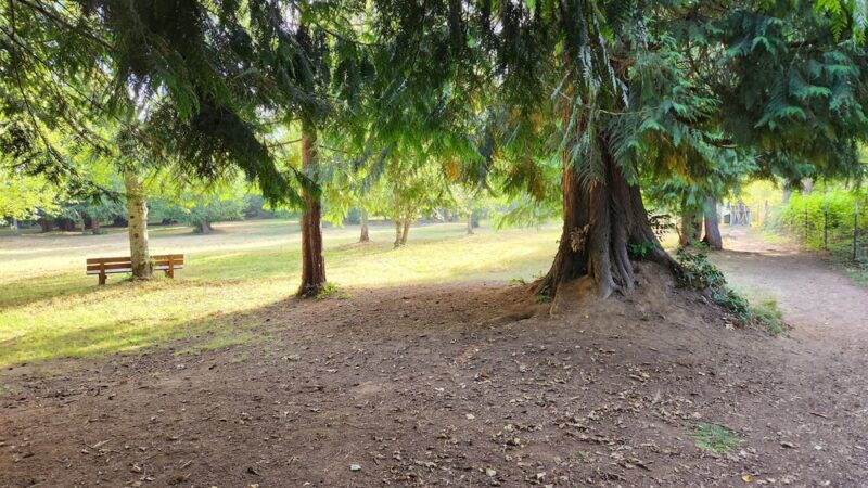 Kane Memorial Dog Park - Vancouver, WA