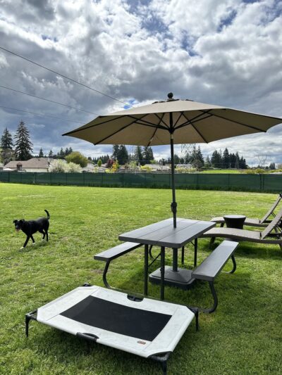 Open Acres Private Dog Park Rental - Vancouver, WA