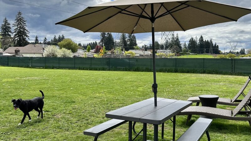 Open Acres Private Dog Park Rental - Vancouver, WA