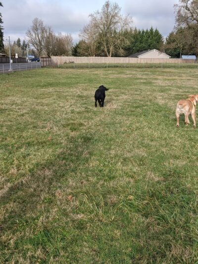 Vydra Park - Vancouver, WA