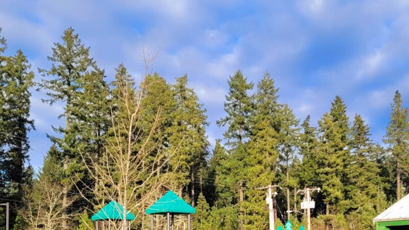 Veneta City Park - Veneta, OR