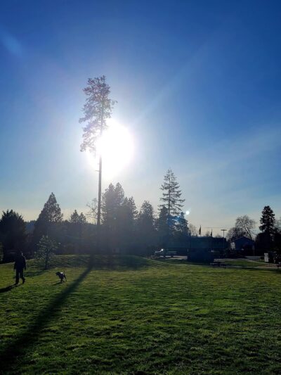 Veneta City Park - Veneta, OR