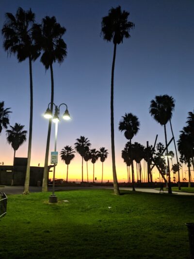 Westminster Dog Park - Venice, CA