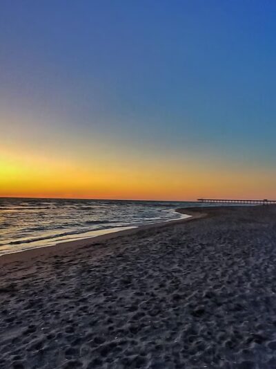 Brohard Paw Park - Venice, FL