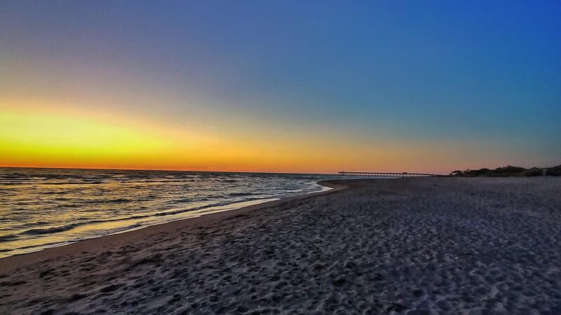 Brohard Paw Park - Venice, FL