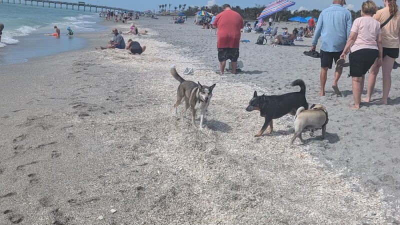 Paw Park Beach - Venice, FL