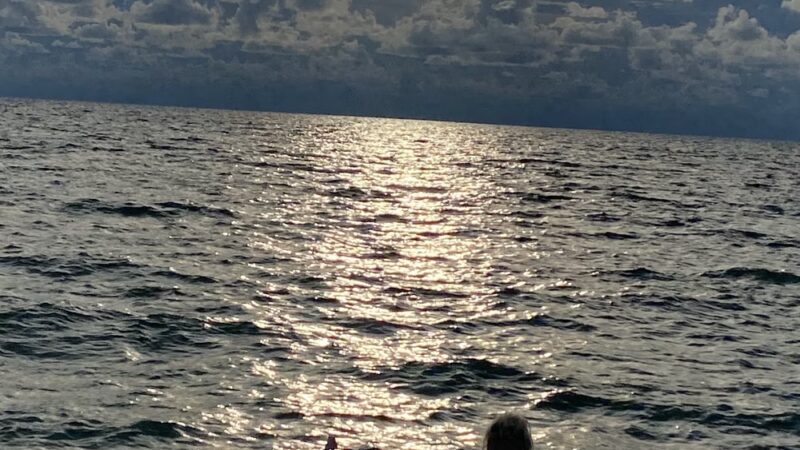 Paw Park Beach - Venice, FL