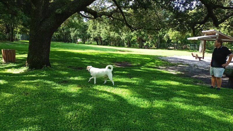 Woodmere Dog Park - Venice, FL