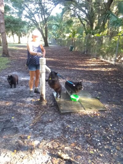 Woodmere Dog Park - Venice, FL