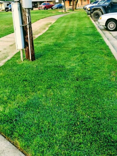 Venus Square - Venus, TX