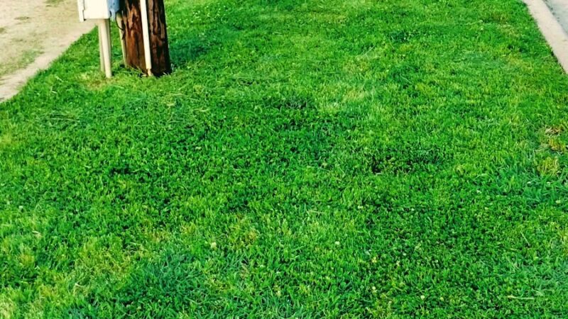 Venus Square - Venus, TX