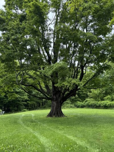 Godfrey Park - Verbank, NY