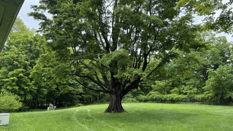 Godfrey Park - Verbank, NY