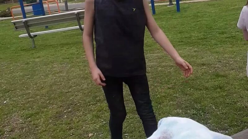 Vernon City Park - Vernon, AL