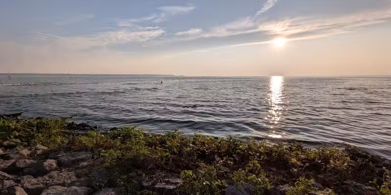 Teddy's Treats At Verona Beach State Park - Verona Beach, NY