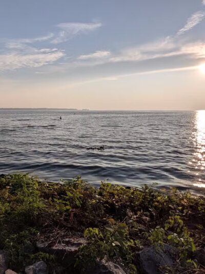 Teddy's Treats At Verona Beach State Park - Verona Beach, NY